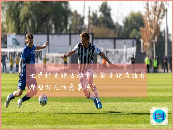 世界杯竞猜活动中体彩竞猜流程有哪些常见注意事项？