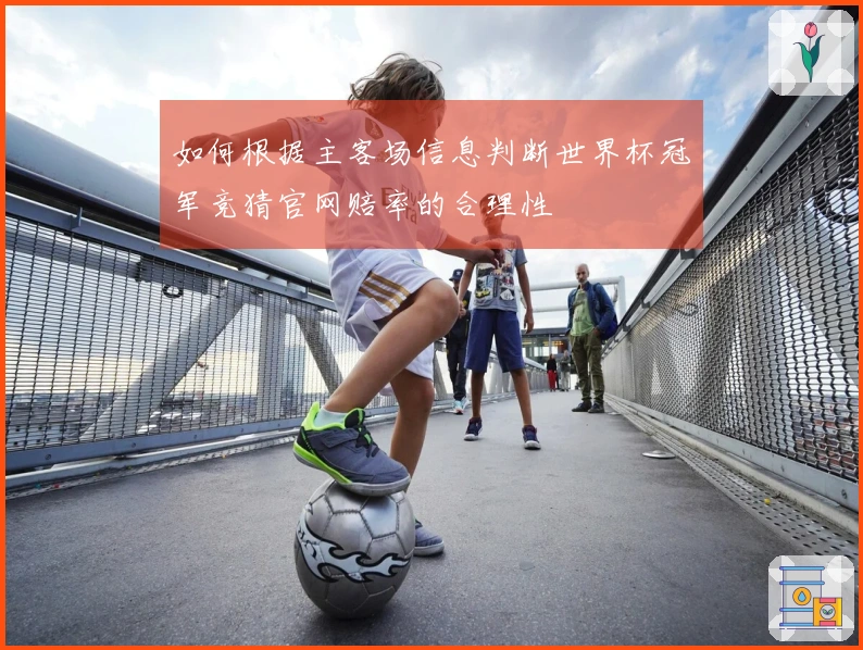 如何根据主客场信息判断世界杯冠军竞猜官网赔率的合理性