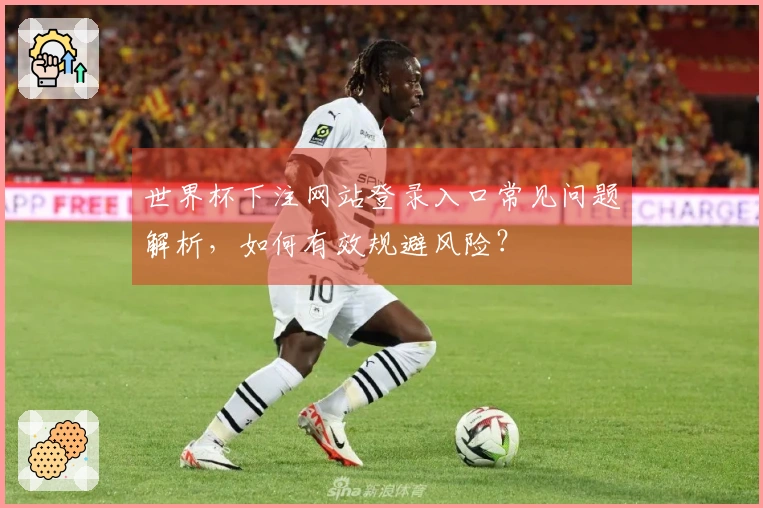 世界杯下注网站登录入口常见问题解析，如何有效规避风险？