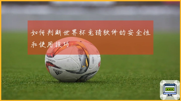 如何判断世界杯竞猜软件的安全性和使用技巧