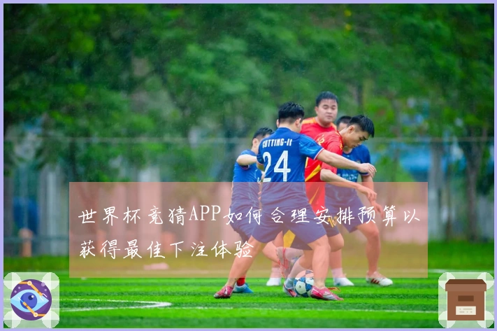 世界杯竞猜APP如何合理安排预算以获得最佳下注体验