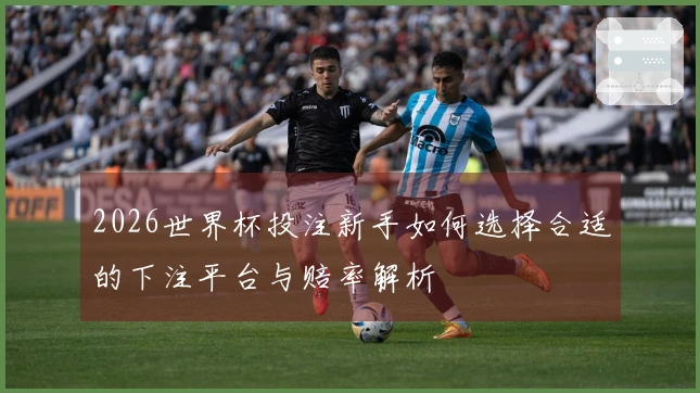 2026世界杯投注新手如何选择合适的下注平台与赔率解析